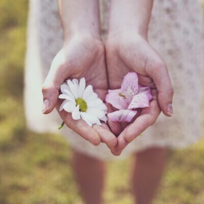 Flowers in 'giving hands'.